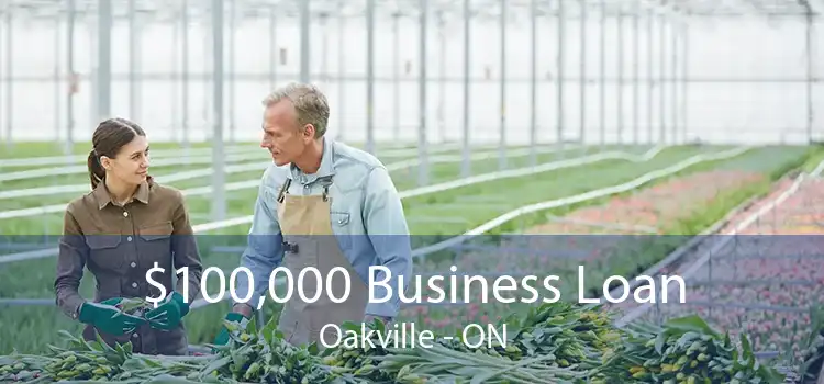 $100,000 Business Loan Oakville - ON