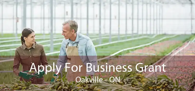 Apply For Business Grant Oakville - ON